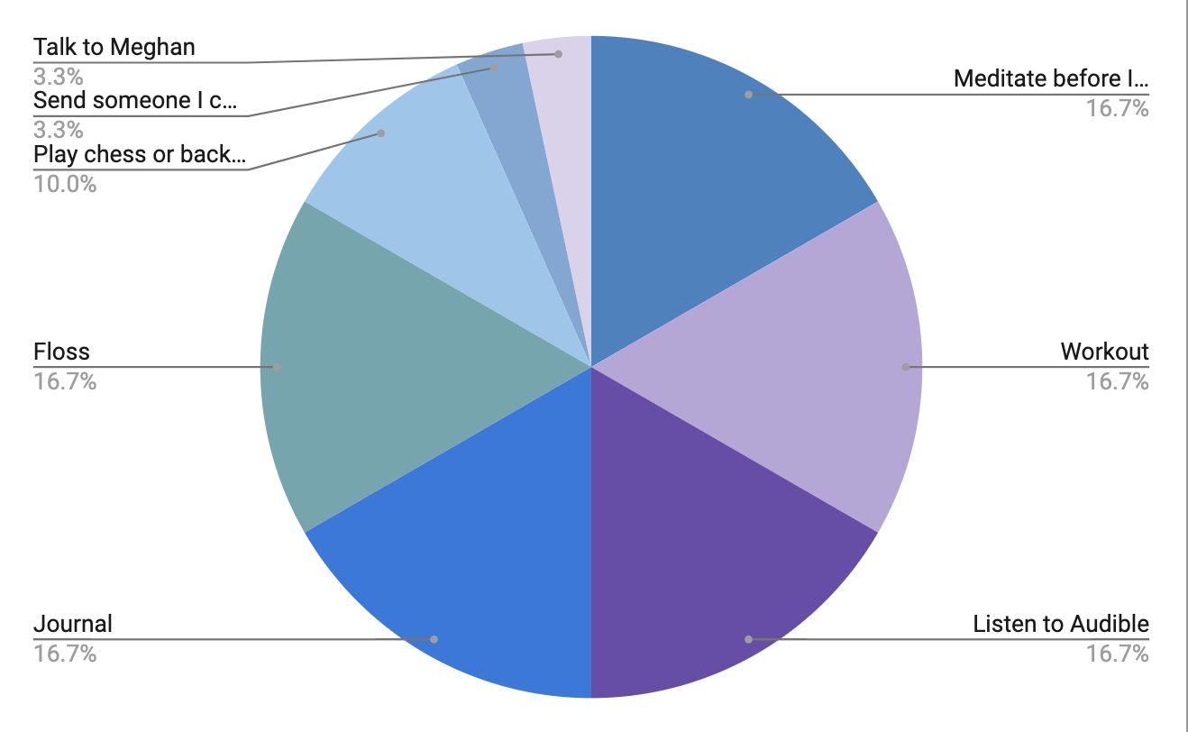 example-pie-chart-pgh-dreamers