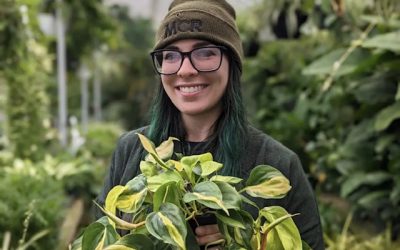 Our Path Series: Emmalee Schattauer – One Cat To Many